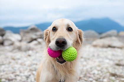 Ball-rarousel-3