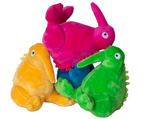 Kiwi-plush-hero-kategorie-600x500px