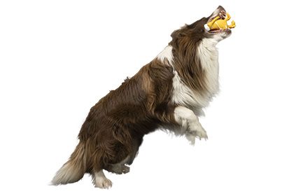 characters-carusel-3