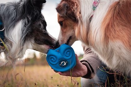 reward-pocket-carousel-2